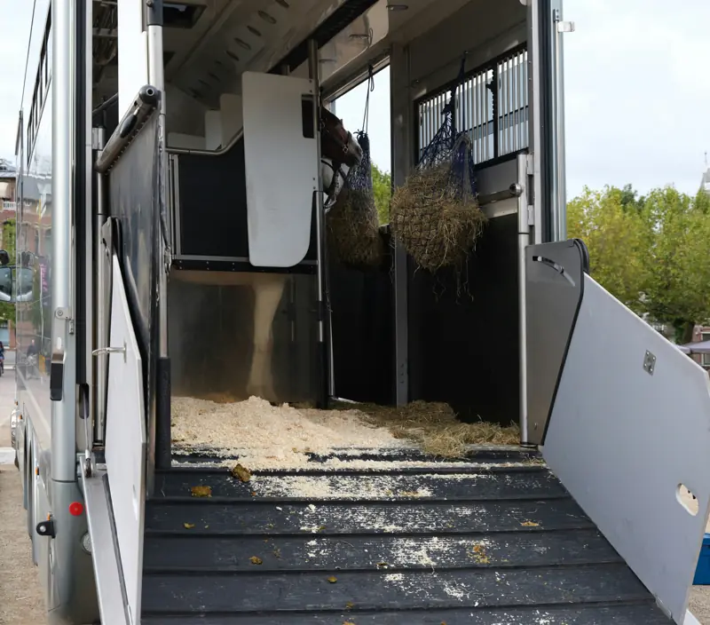 Rampe de chargement et stalle paillée d'un camion chevaux